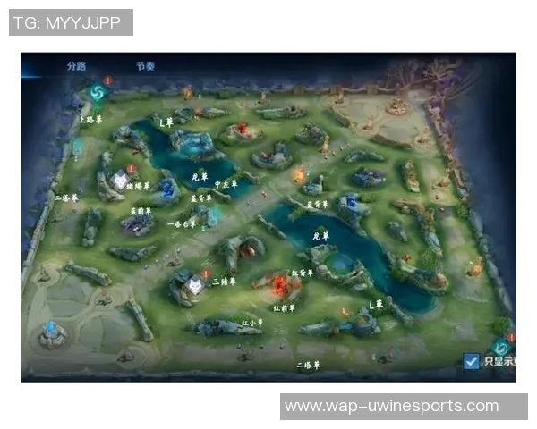 热议王者荣耀V5灵活性变革带来的全新游戏体验与策略思考实时新闻